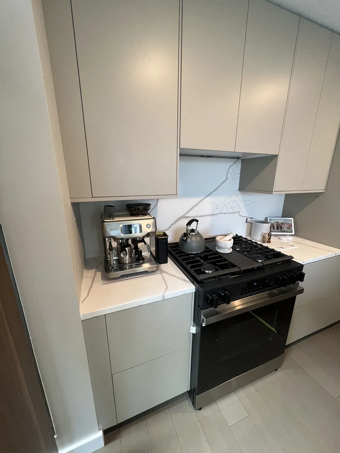 Grey Flat-Panel Modern Kitchen